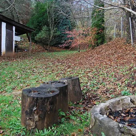 Boróka - Fagyöngy House